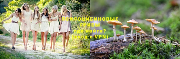 apvp Волоколамск