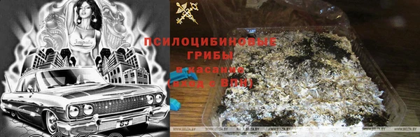 apvp Волоколамск