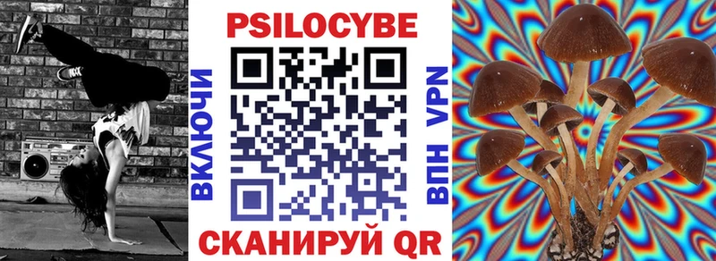 закладки  Иваново  Галлюциногенные грибы MAGIC MUSHROOMS 